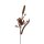 Gartenstecker Frosch auf Rohrkolben 60cm im Rost Design - Rostfigur, Blumenstecker, Gartendeko, Terrassendekoration
