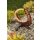 Rostfigur Sonnenuhr H: 57 cm - Rost Design, Dekofigur für den Garten, Gartendeko, Terrassendeko, Edelrost