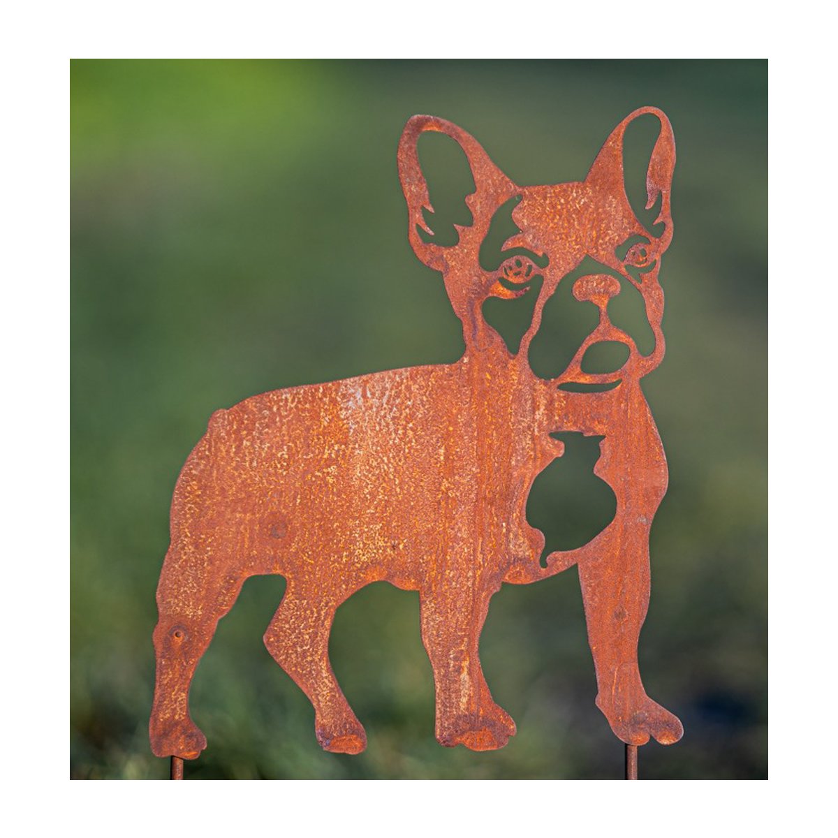 Gartenstecker Bulldogge im Rost Design Rostfigur Hund für den Garte