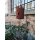Gartenstecker Flamme als Windlicht  100 cm im Rost Design - Fackel, Rostfigur für den Garten, Gartendeko, Terrassen Deko